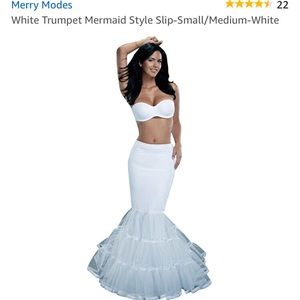 slip/crinoline/petticoat